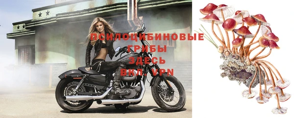 гашиш Коряжма