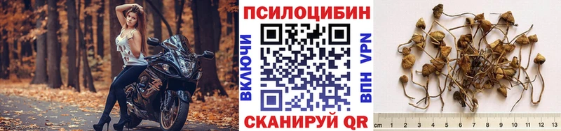 Купить  Тимашёвск  Галлюциногенные грибы мицелий 